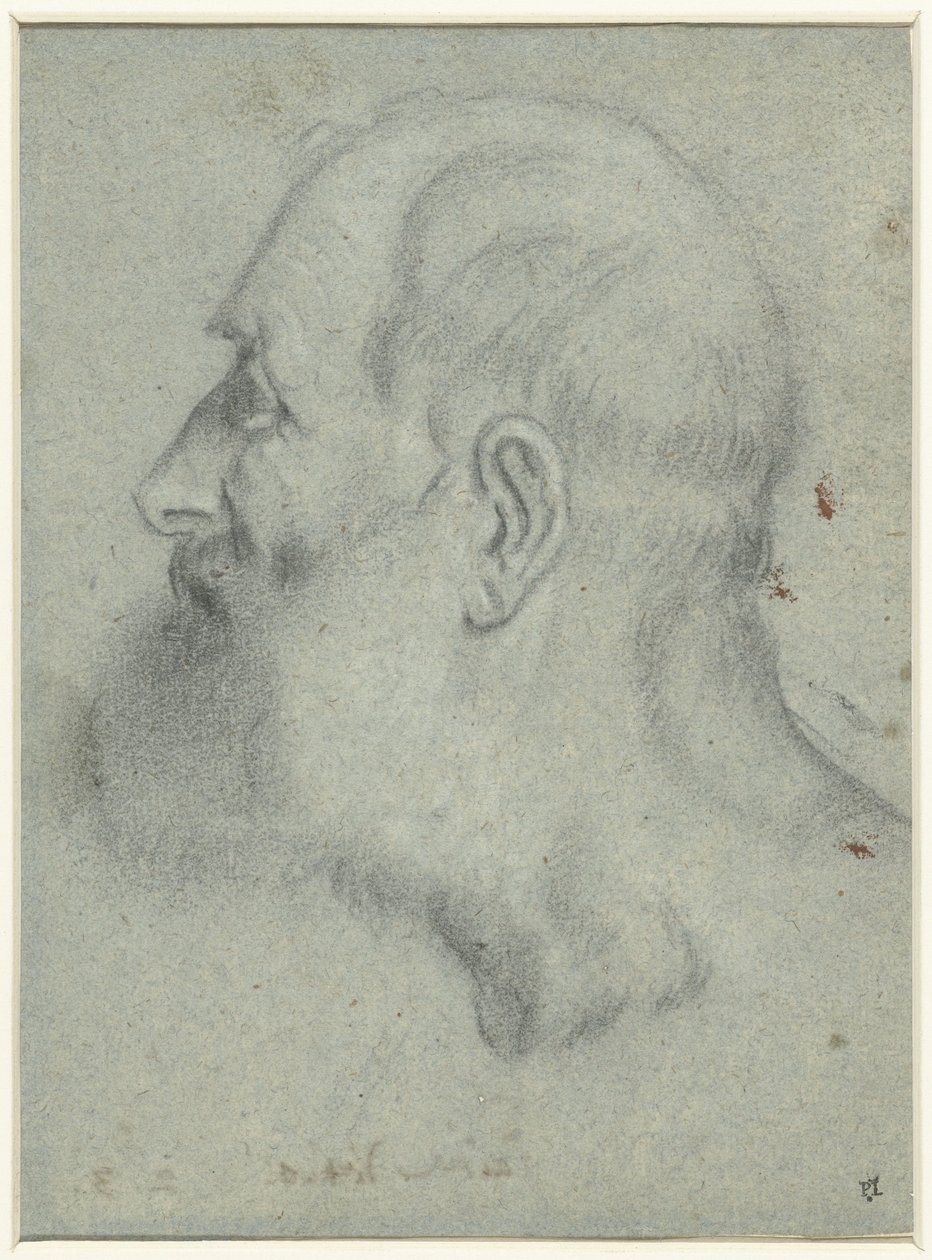 Hodet til skjeggete mannen, i profil til venstre av Bonifazio Veronese (attributed to)