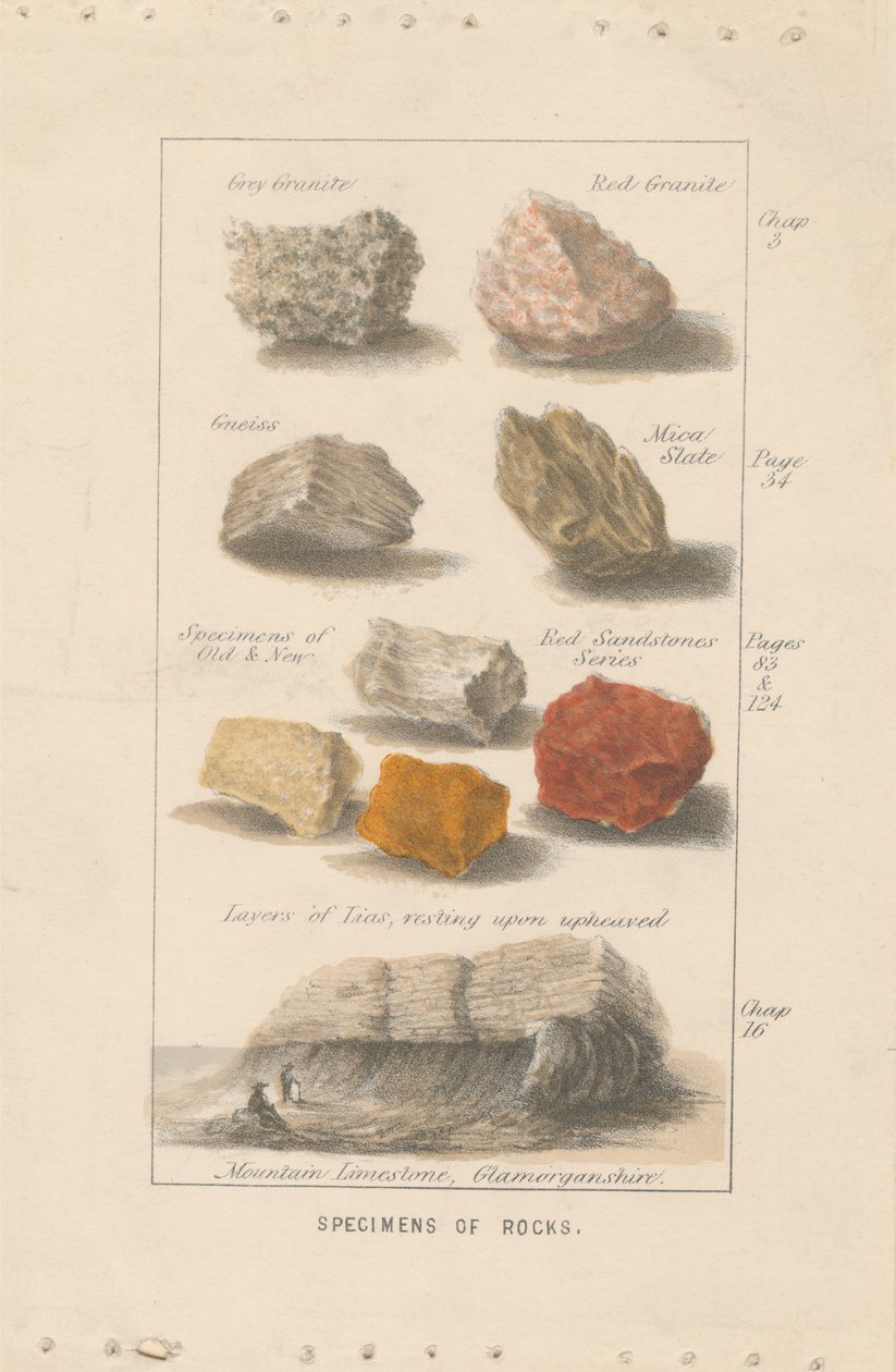 Eksemplarer av bergarter. Bevis på en illustrasjon for Wrights 'Globe Prepared for Man'. av Bradshaw and Blacklock