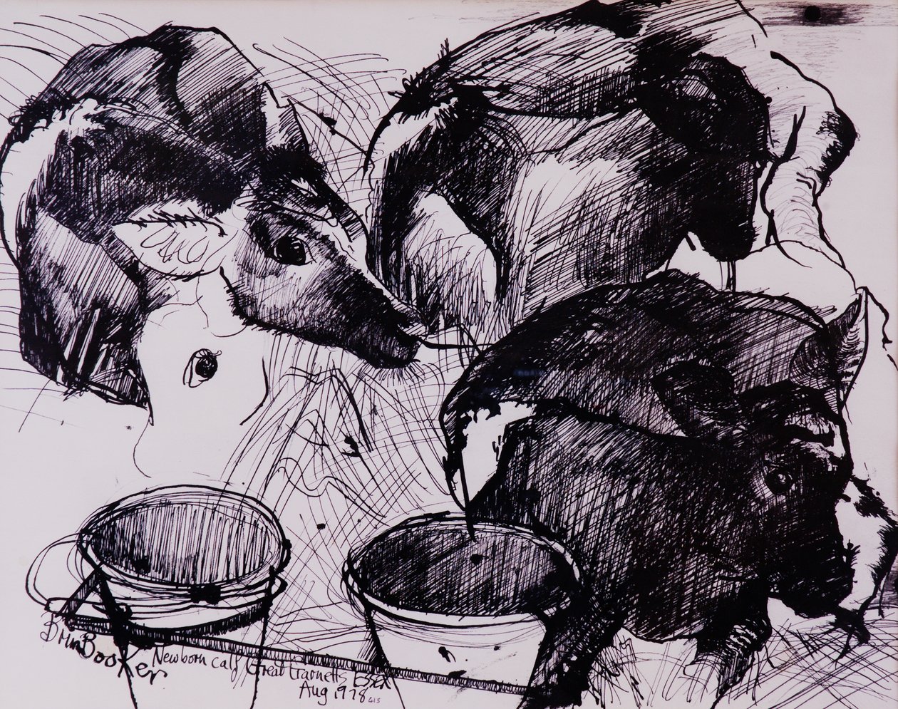 Kalver, fuktige, nyfødte, 1978 av Brenda Brin Booker