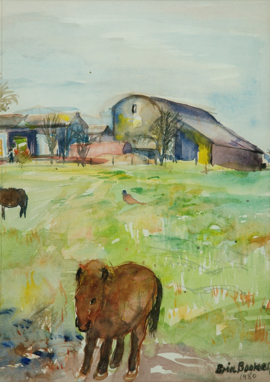 Pony in the Farm Meadow, East Green, 1980 (wc på papir) av Brenda Brin Booker