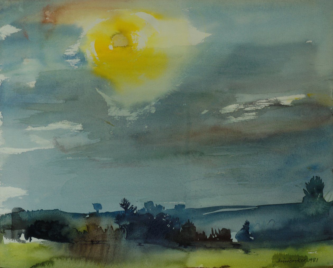 Rain in the Air, 1981 (wc på papir) av Brenda Brin Booker