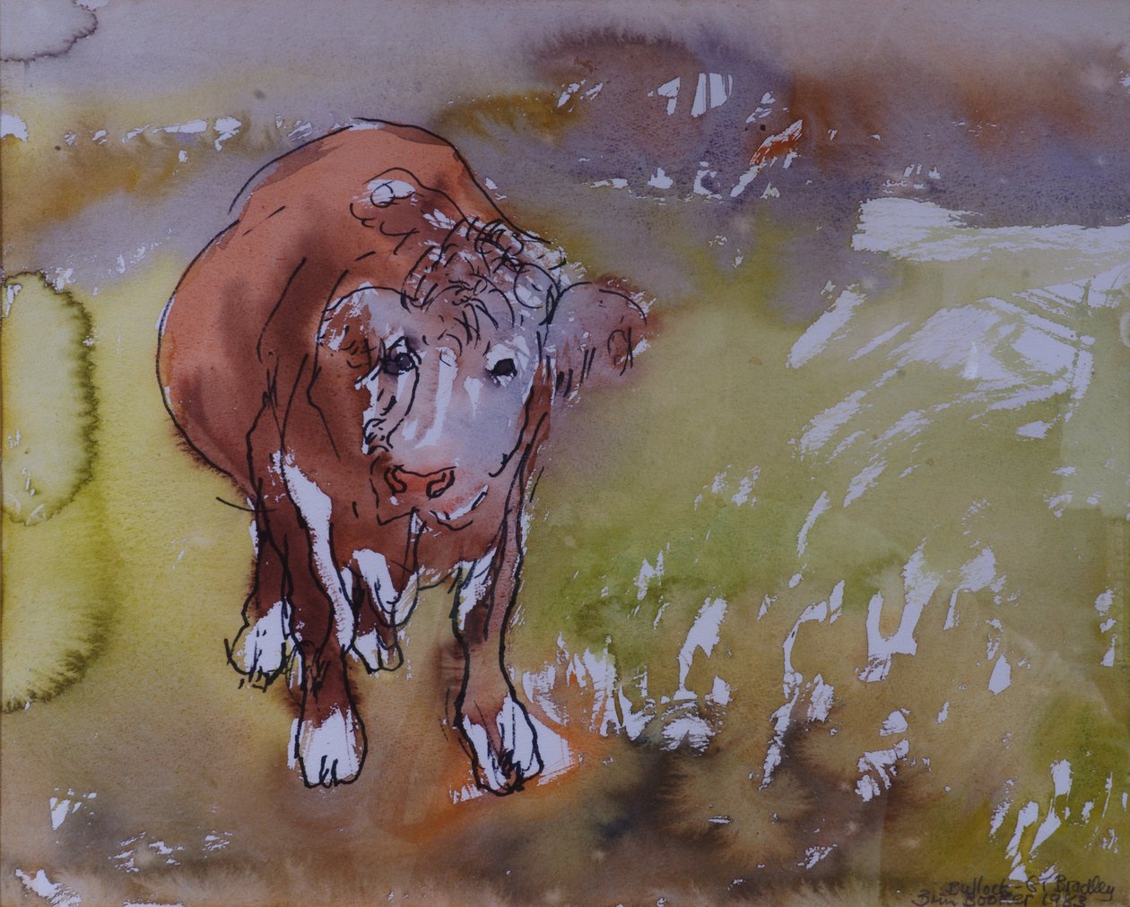 The Bullock, 1983 (penn og blekk med wc på papir) av Brenda Brin Booker