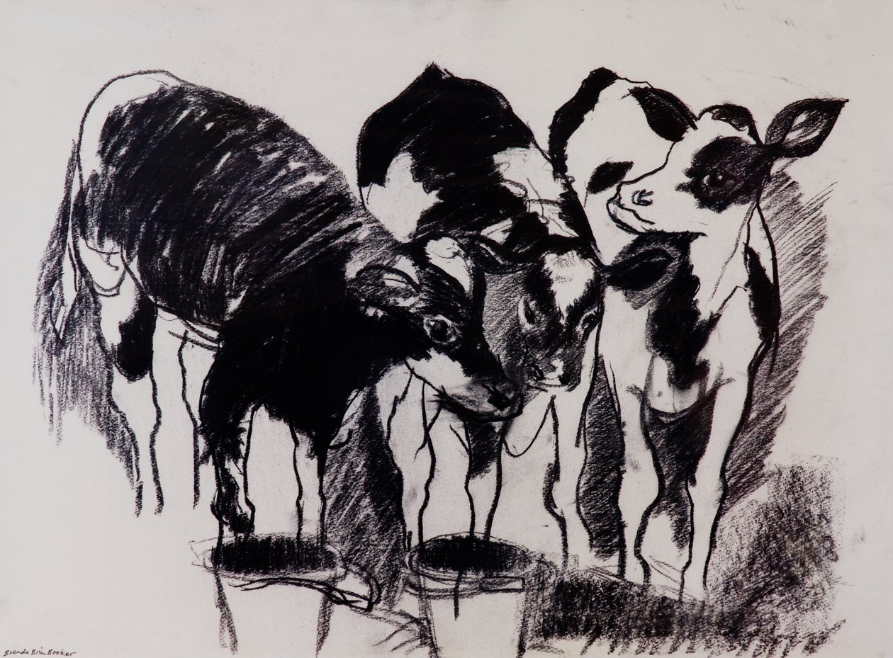The New Calves (kull på papir) av Brenda Brin Booker