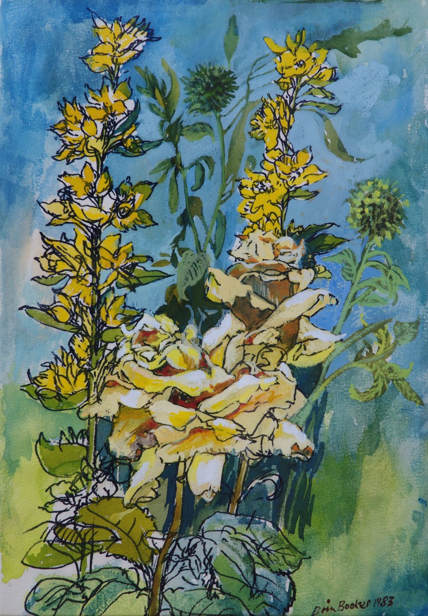 Yellow Rose and Loosestrife, 1983 (penn og blekk med wc på papir) av Brenda Brin Booker