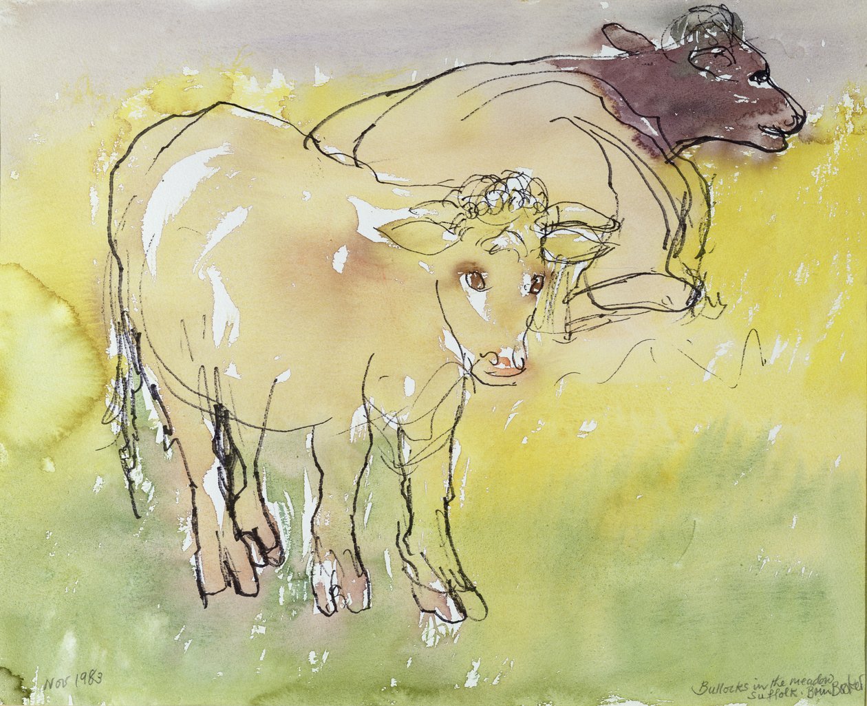 Young Bullocks in the Meadow, 1983 (penn og blekk med wc på papir) av Brenda Brin Booker
