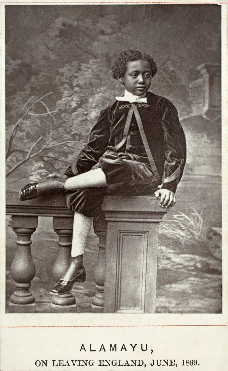 Alamayu, England, 1869 (albumtrykk) av British Photographer