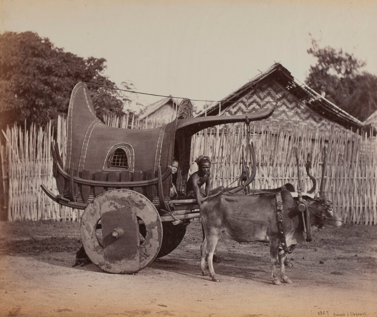 Country Cart, Burma (1886–88) av British Photographer