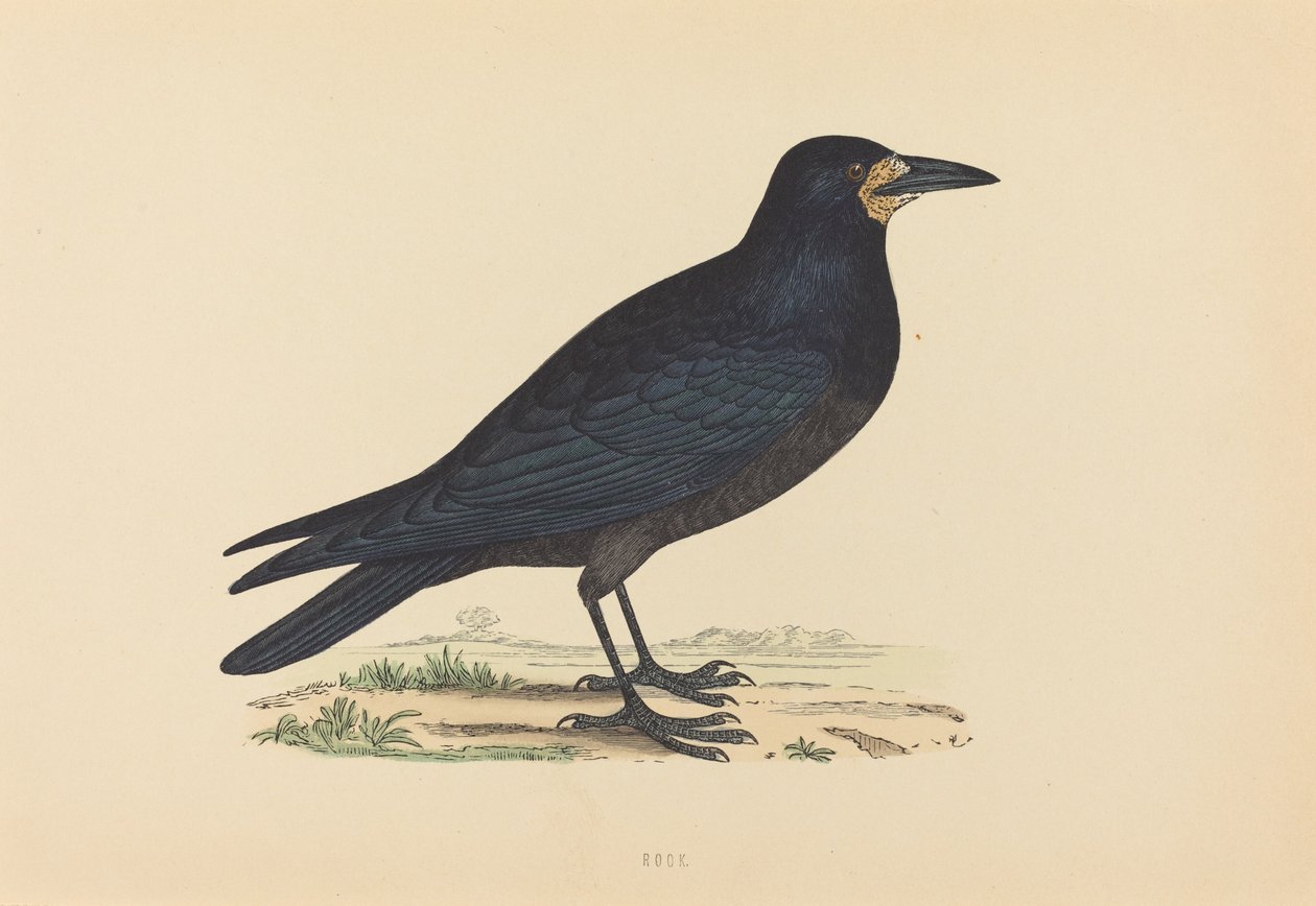 tårn av British 19th Century