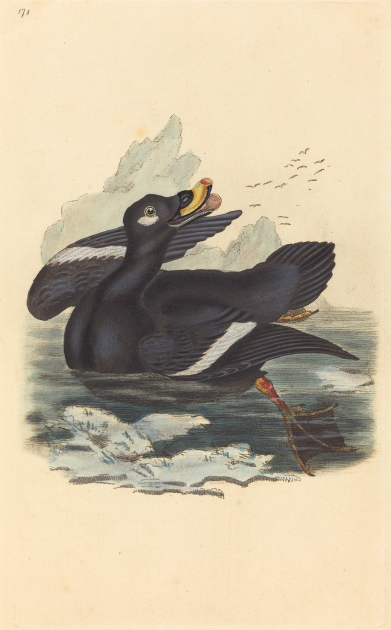 Fløyelsand av British 19th Century