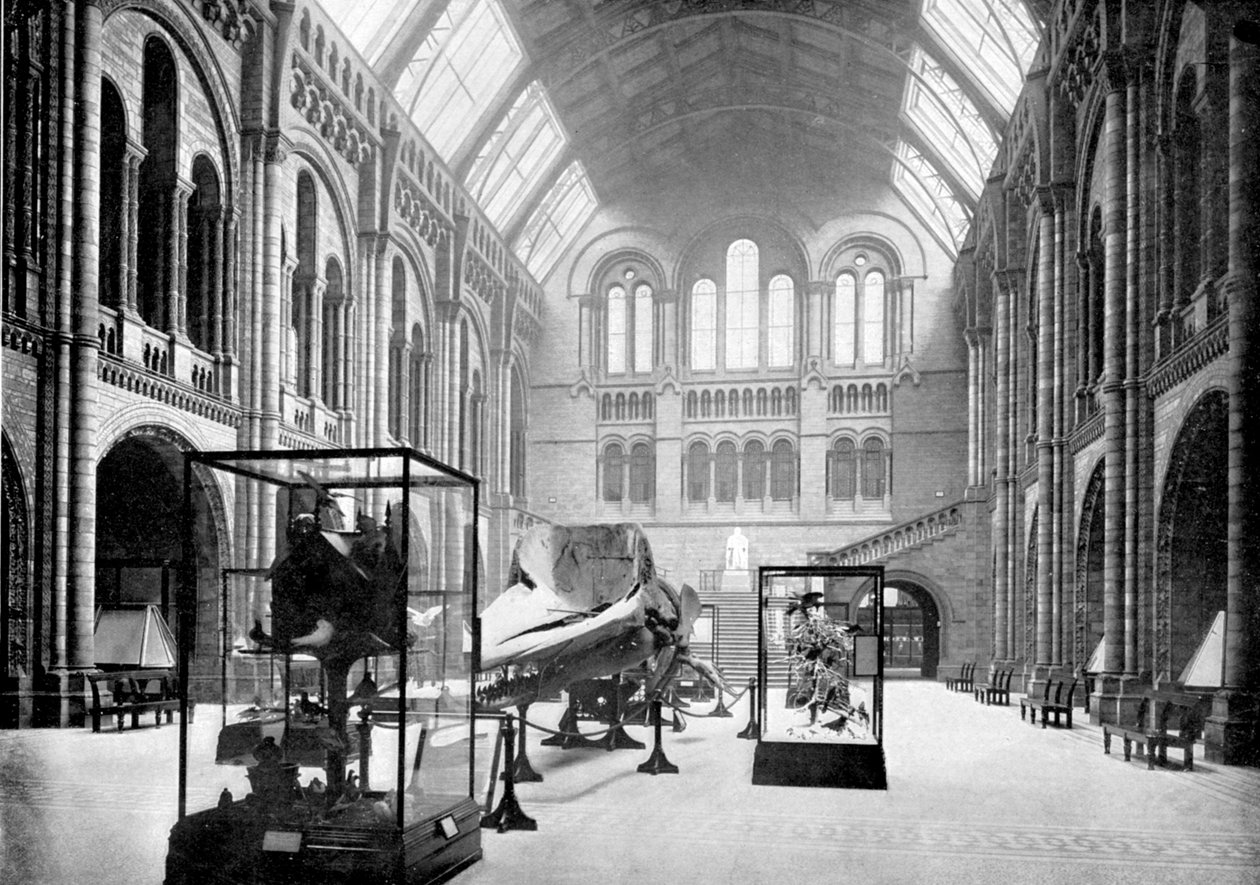 Inngangshallen til Natural History Museum, South Kensington, London, 1890 av British Photographer