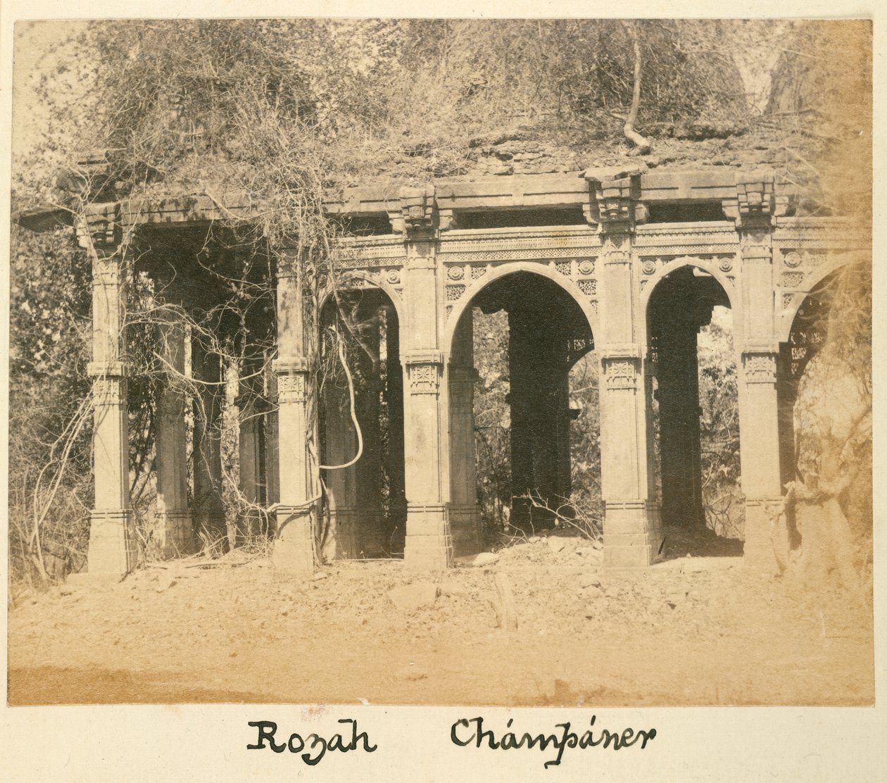 Rozah, Champaner, ca. 1875 (s/hvitt-bilde) av British Photographer