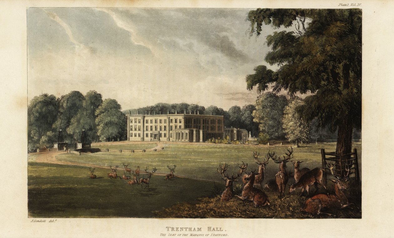 Hjorteflokk foran Trentham Hall av British School