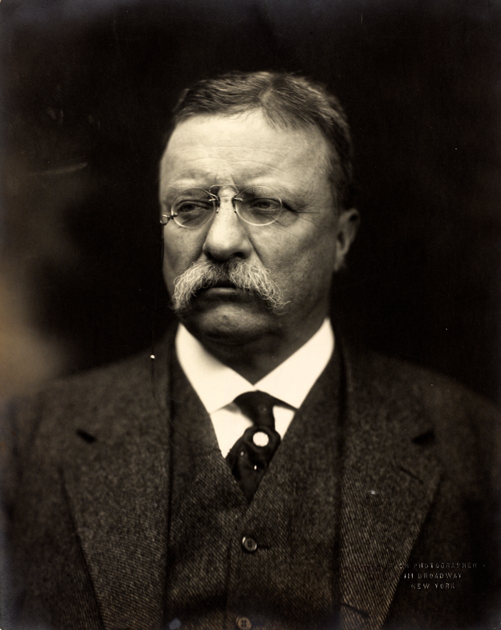 Theodore Roosevelt, ca. 1915 (s/hvitt-bilde) av Brothers Pach