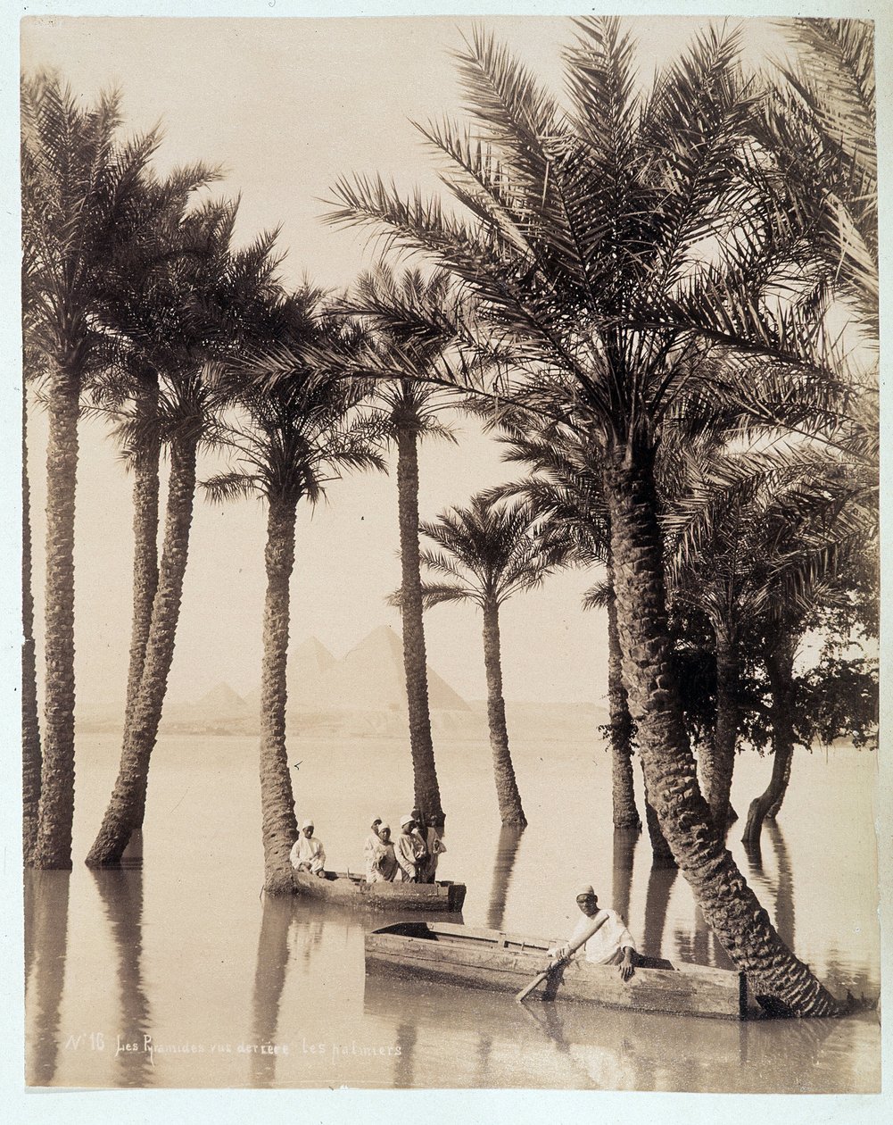 En palmelund ved foten av pyramidene i Egypt - fotografi av Zangali-brødrene, sent på 1800-tallet av Brothers Zangaki