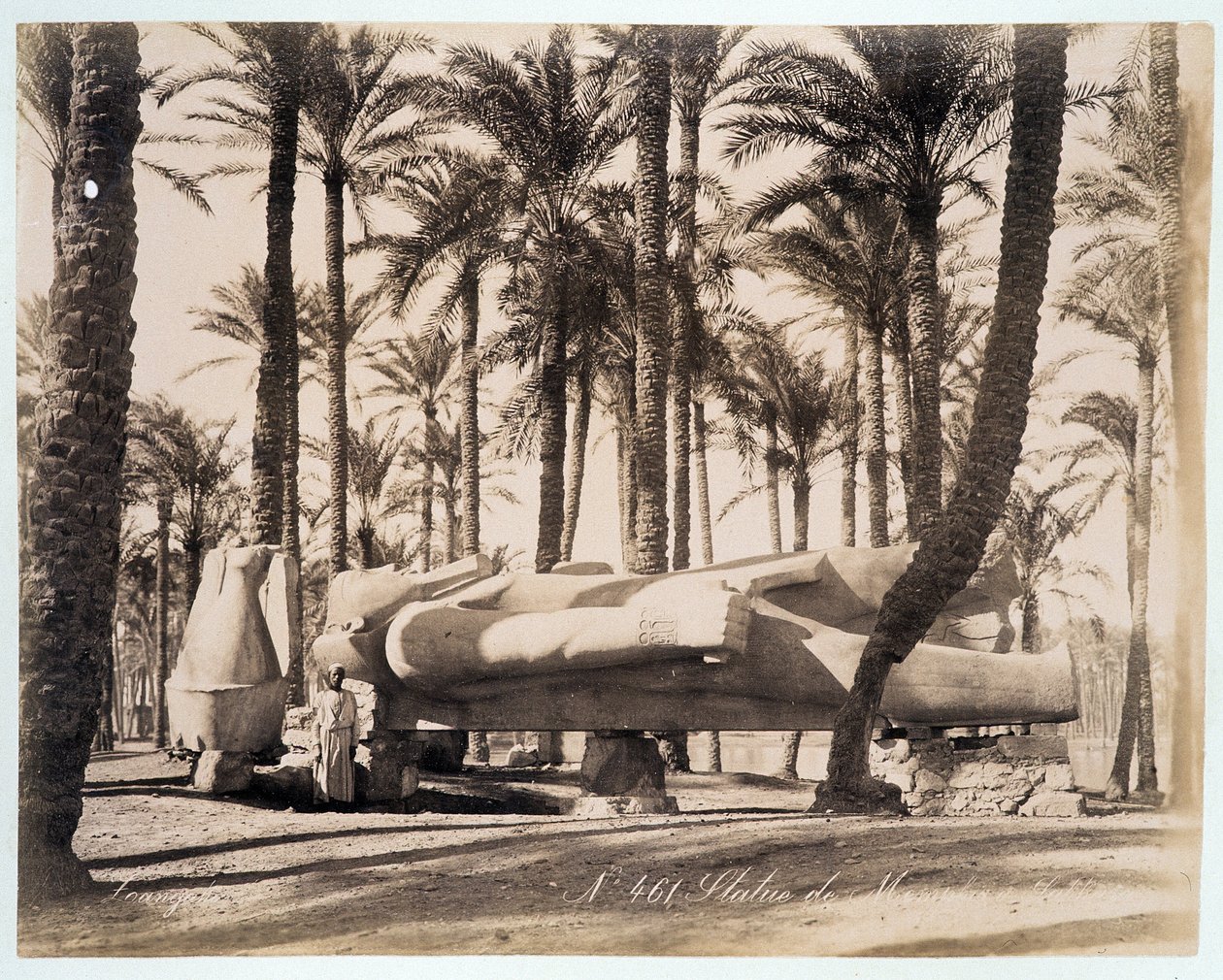En statue av Memphis ligger i en palmelund i Egypt - fotografi av Zangali-brødrene, sent på 1800-tallet av Brothers Zangaki