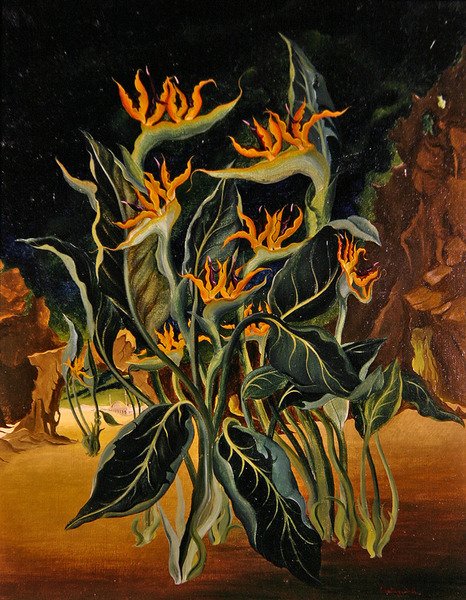 Strange Flowers (olje på lerret) av Bruce Hollingsworth