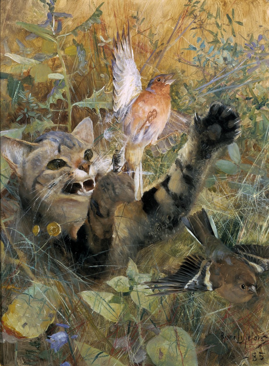 En katt og en bokfink, 1885 av Bruno Andreas Liljefors