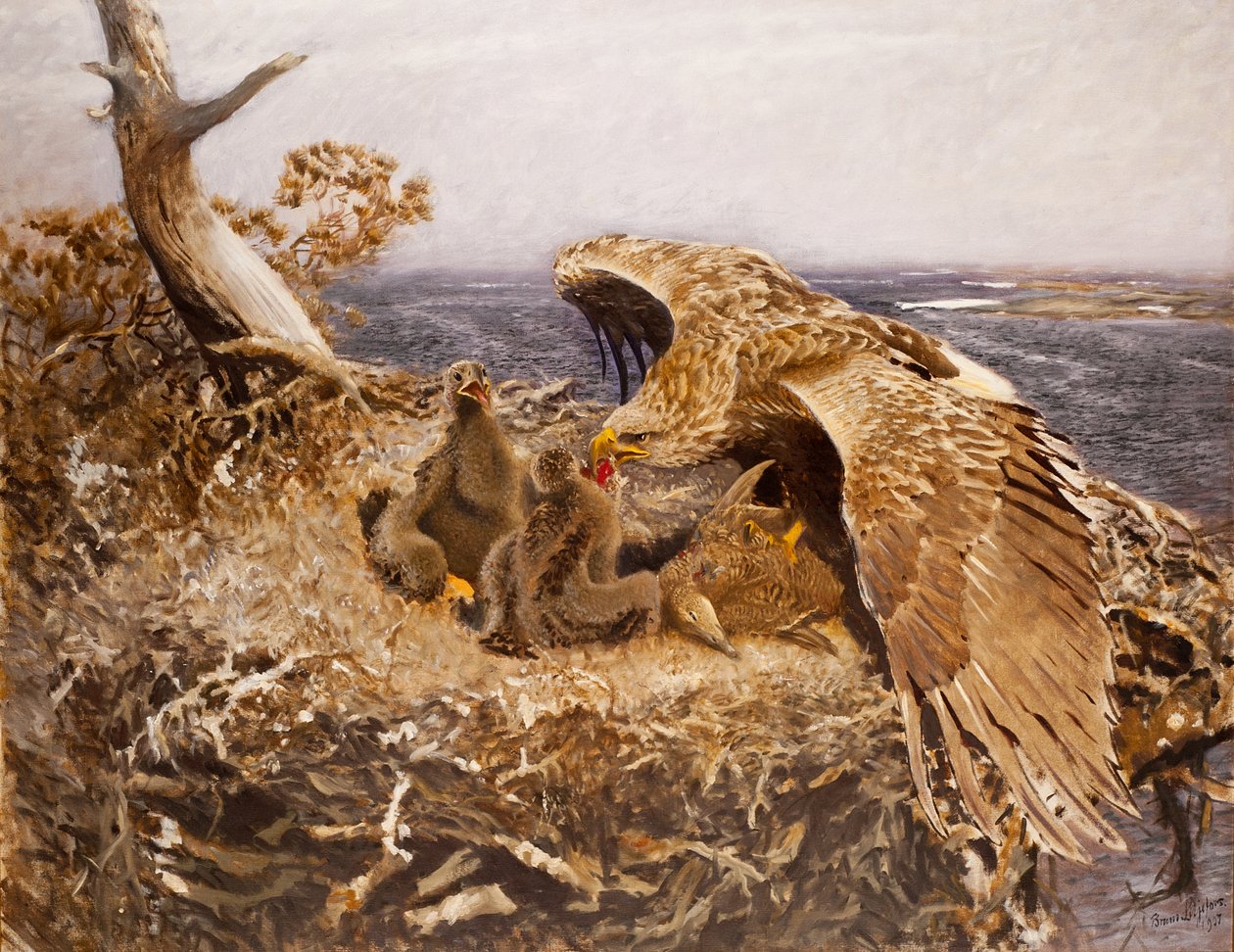 Havørnredet, 1907 av Bruno Andreas Liljefors
