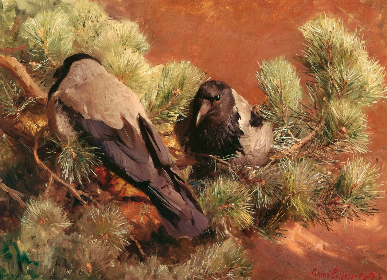 Hooded Crows Krakor av Bruno Andreas Liljefors