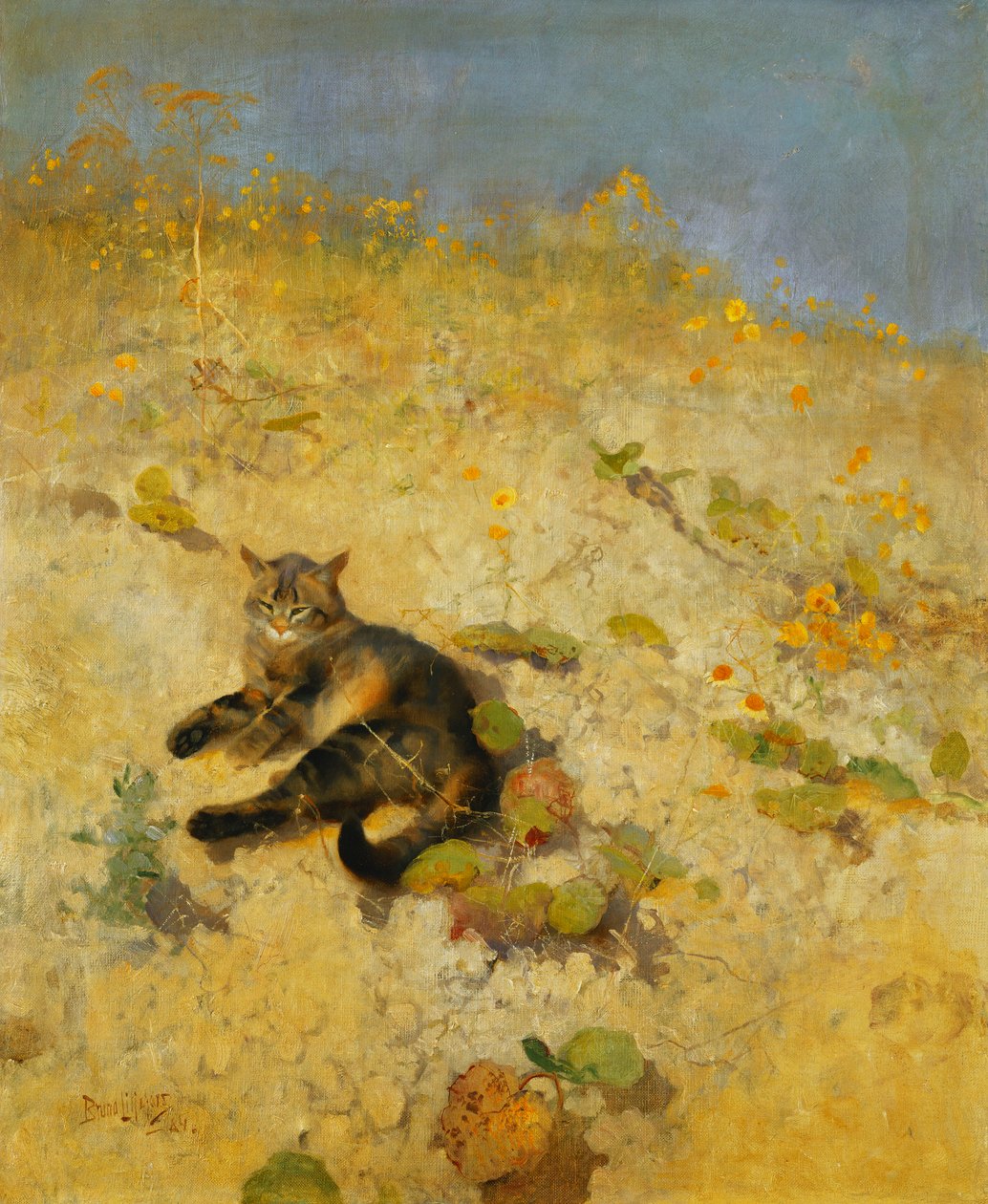 En katt som soler seg i solen av Bruno Andreas Liljefors