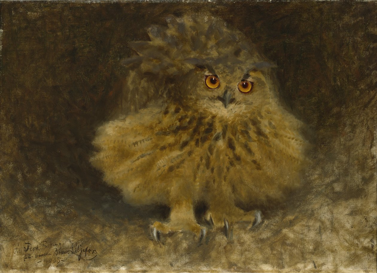 En ørnugle, 1905 av Bruno Andreas Liljefors