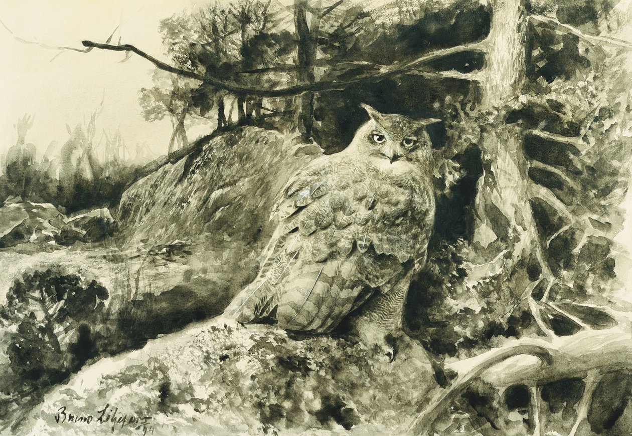 Berguv (Ørneugle) Bubo Bubo av Bruno Andreas Liljefors
