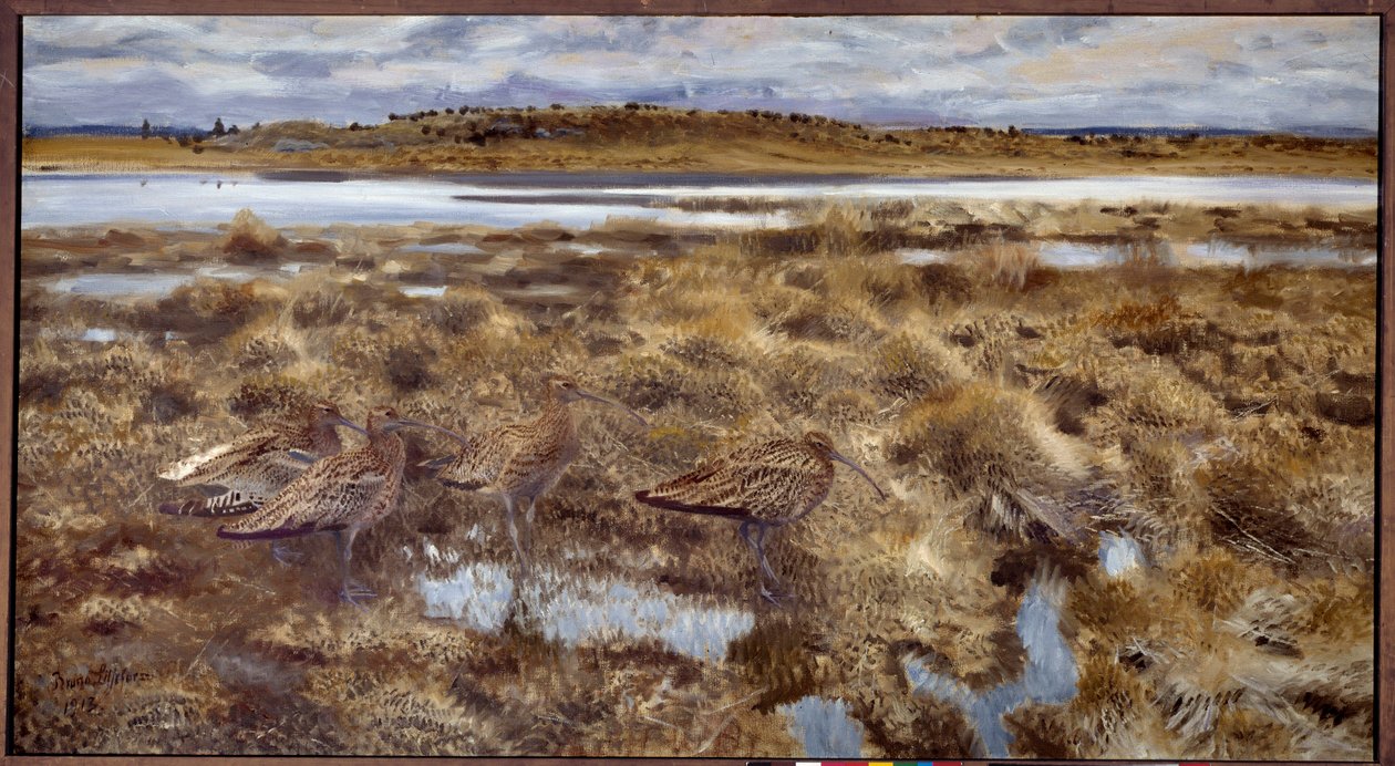 Curlews Fugler i myrene. Maleri av Bruno Andreas Liljefors (1860-1939) 1913 søn. 1,19x2,2 m av Bruno Andreas Liljefors