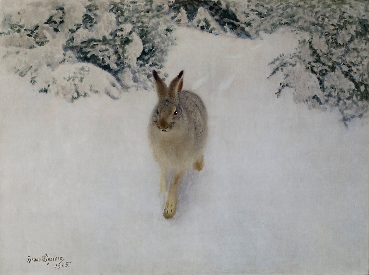 Hare om vinteren av Bruno Andreas Liljefors