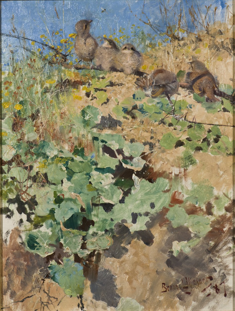Nestlings of Red-backed Shrike, 1887 av Bruno Andreas Liljefors
