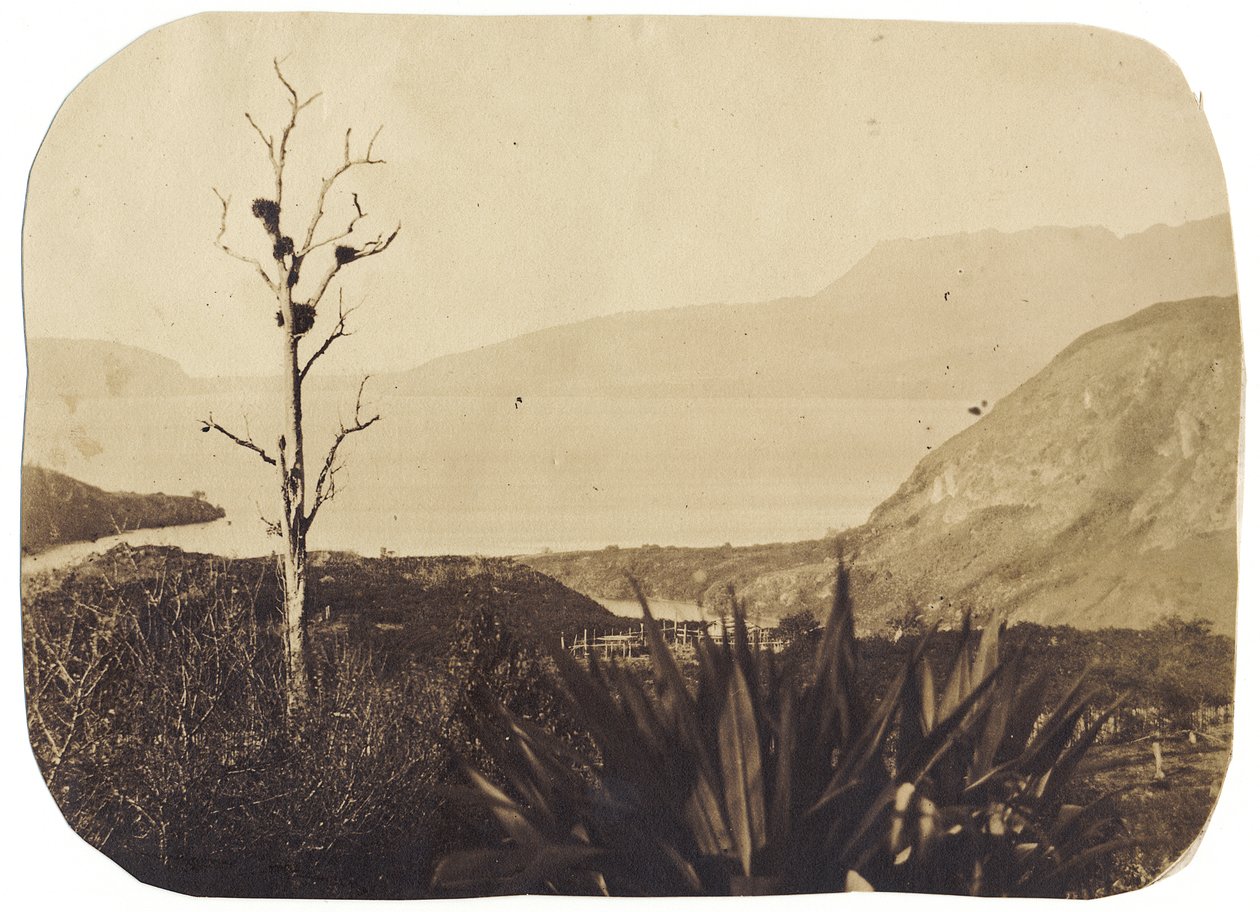Lake and Mount Tarawera fra Te Wairoa, 1860 (albumtrykk) av Bruno Hamel