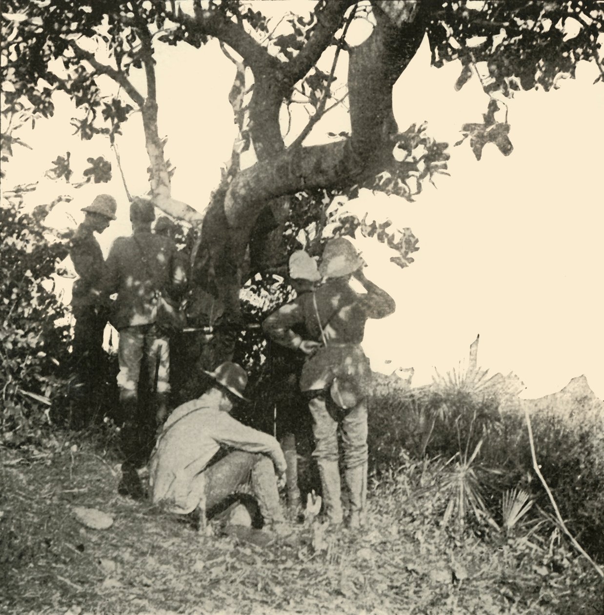 Treet som kaptein Paget...så...San Juan-slaget fra, spansk-amerikansk krig, juni 1898, 1899. av Burr McIntosh