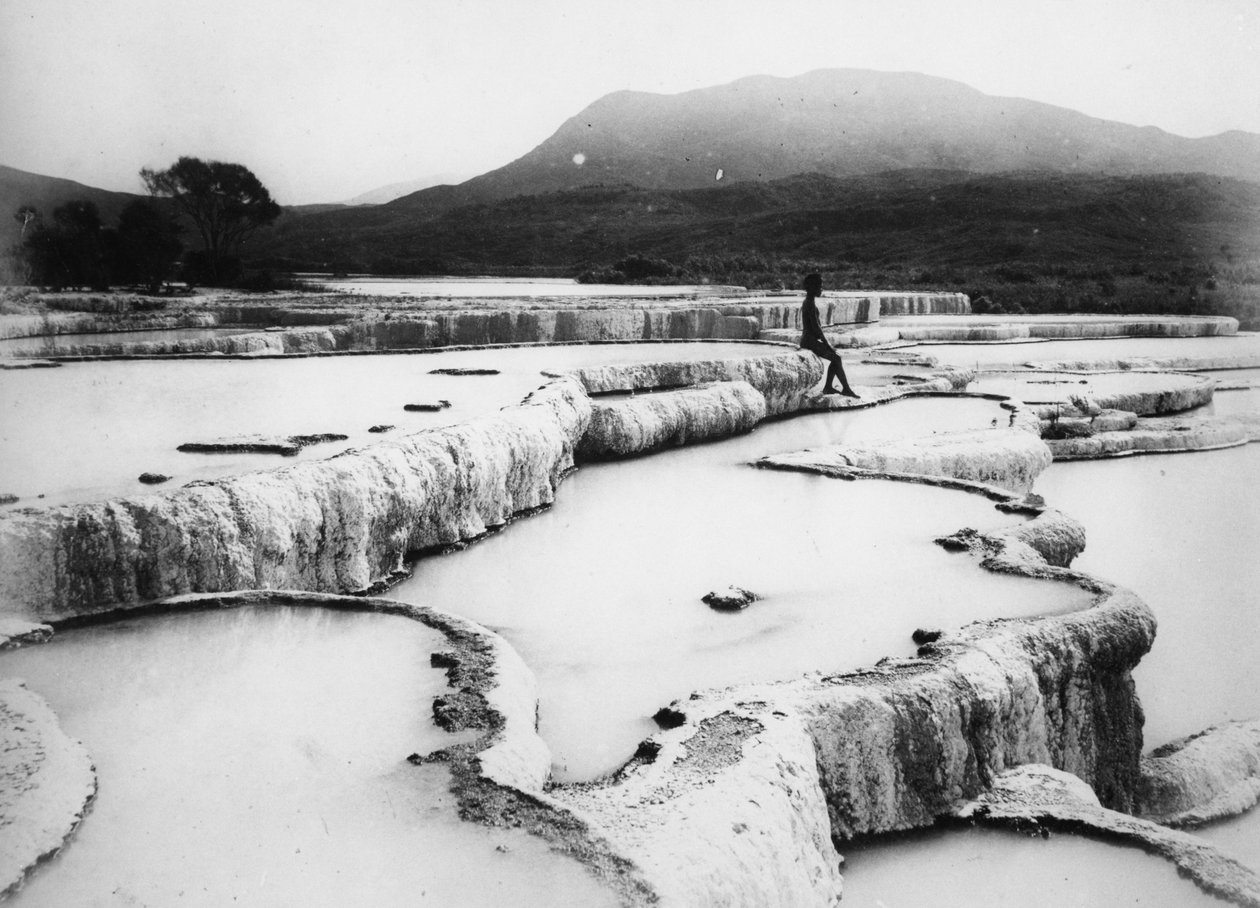 The Hot Water Bassins & White Terraces, ca. 1880-tallet (s/hvitt-bilde) av Burton Brothers Studio