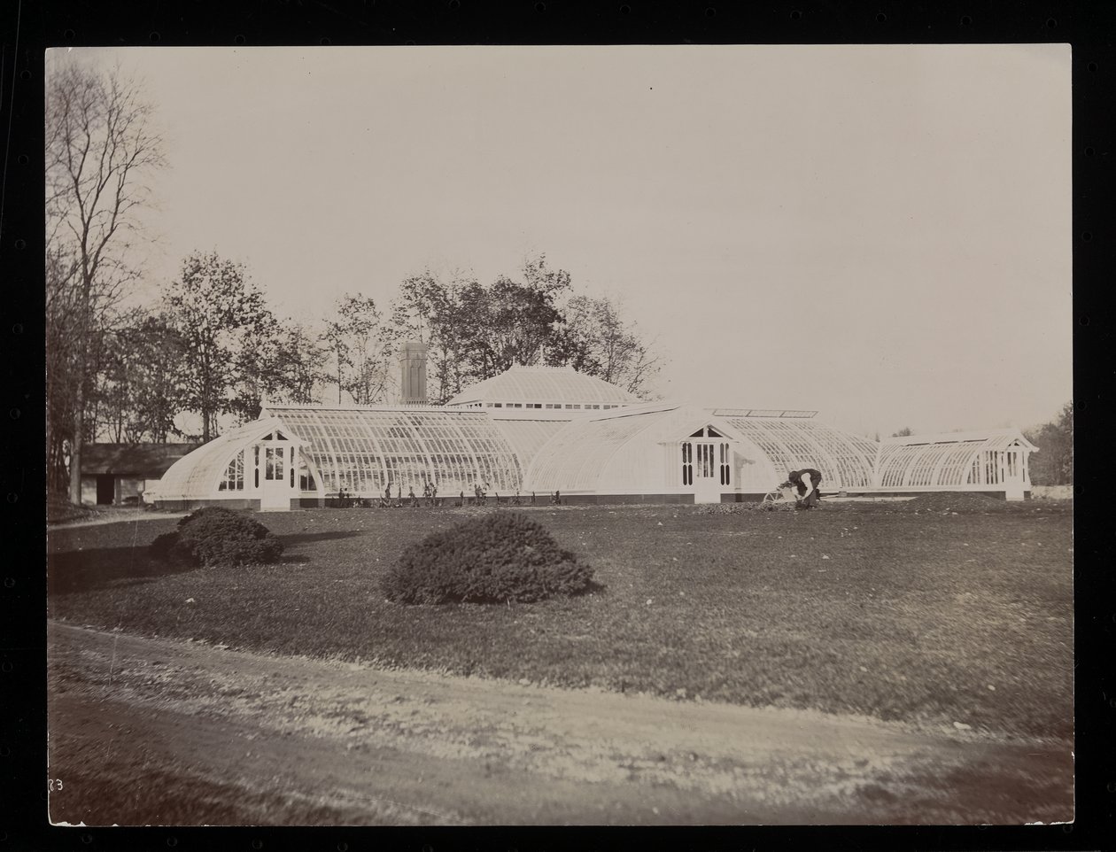 Et drivhus på John Jacob Astor eiendom i Rhinecliff, N.Y., 1893-94 (sølv gelatintrykk) av Byron Company