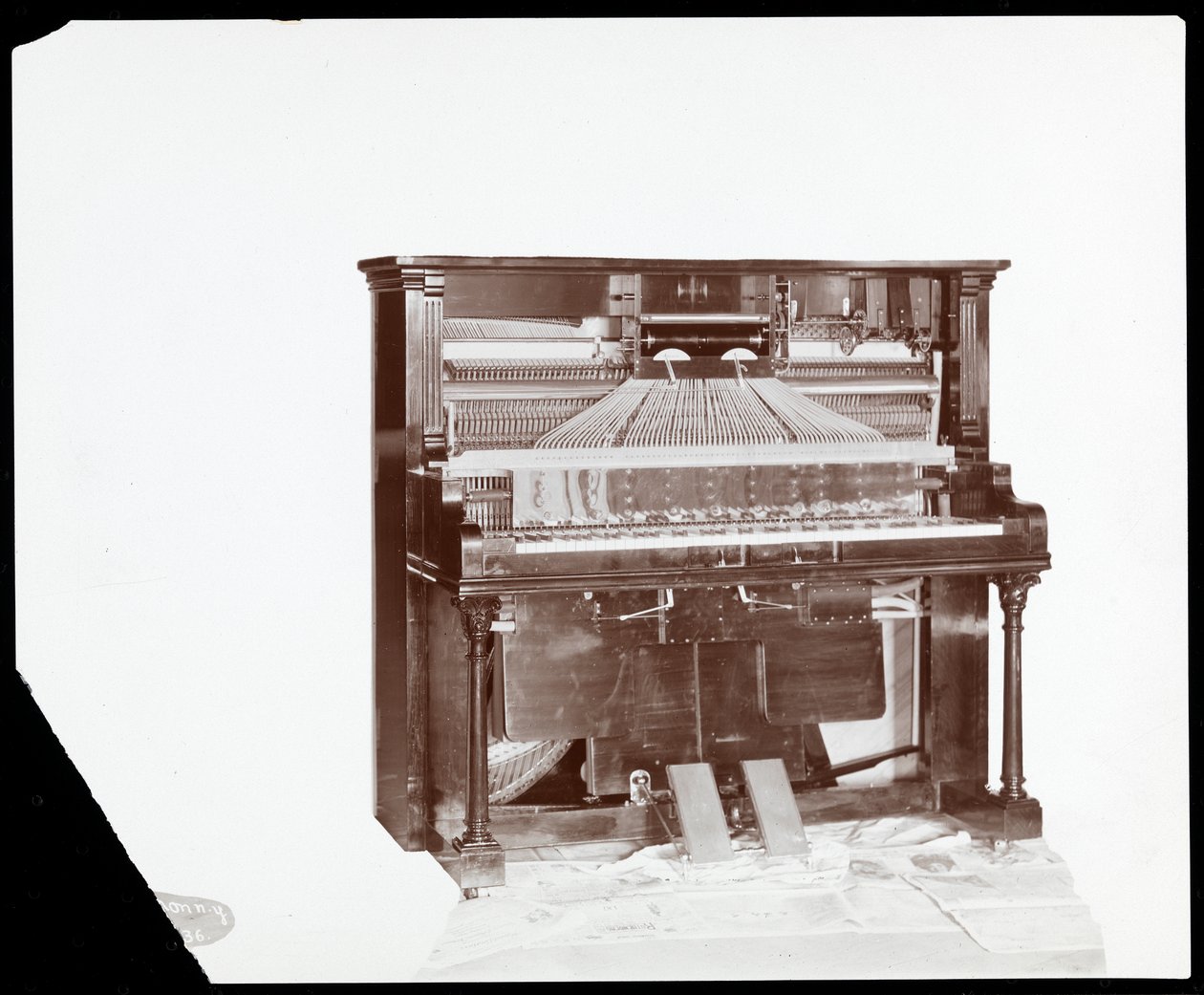 Et pianospiller av Ricca und Son Piano Co., 1907 (sølv gelatintrykk) av Byron Company