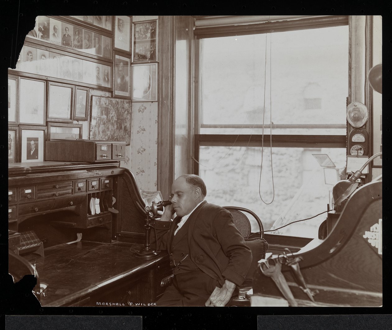 Marshall P. Wilder på telefon på kontoret sitt, 1898-99 (sølv gelatintrykk) av Byron Company