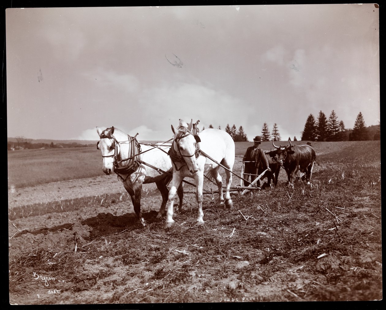 Pløying på eiendommen til Alton Brooks Parker, Esopus Creek, New York, 1904 (sølv gelatintrykk) av Byron Company
