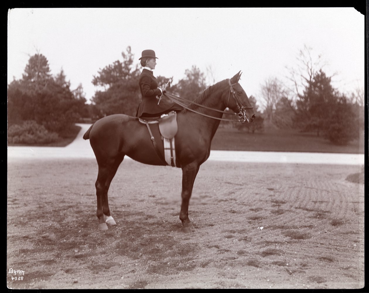 Portrett av Mrs. Beach posert på en hest på ridestien i Central Park, 1898 (sølv gelatintrykk) av Byron Company