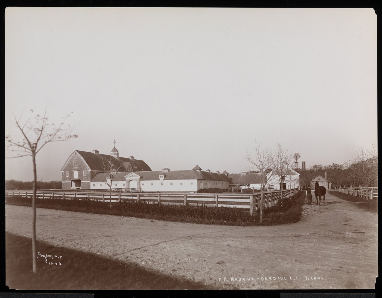Fjøsene på F.G. Bournes eiendom i Oakdale, Long Island, New York, 1900 (sølv gelatintrykk) av Byron Company