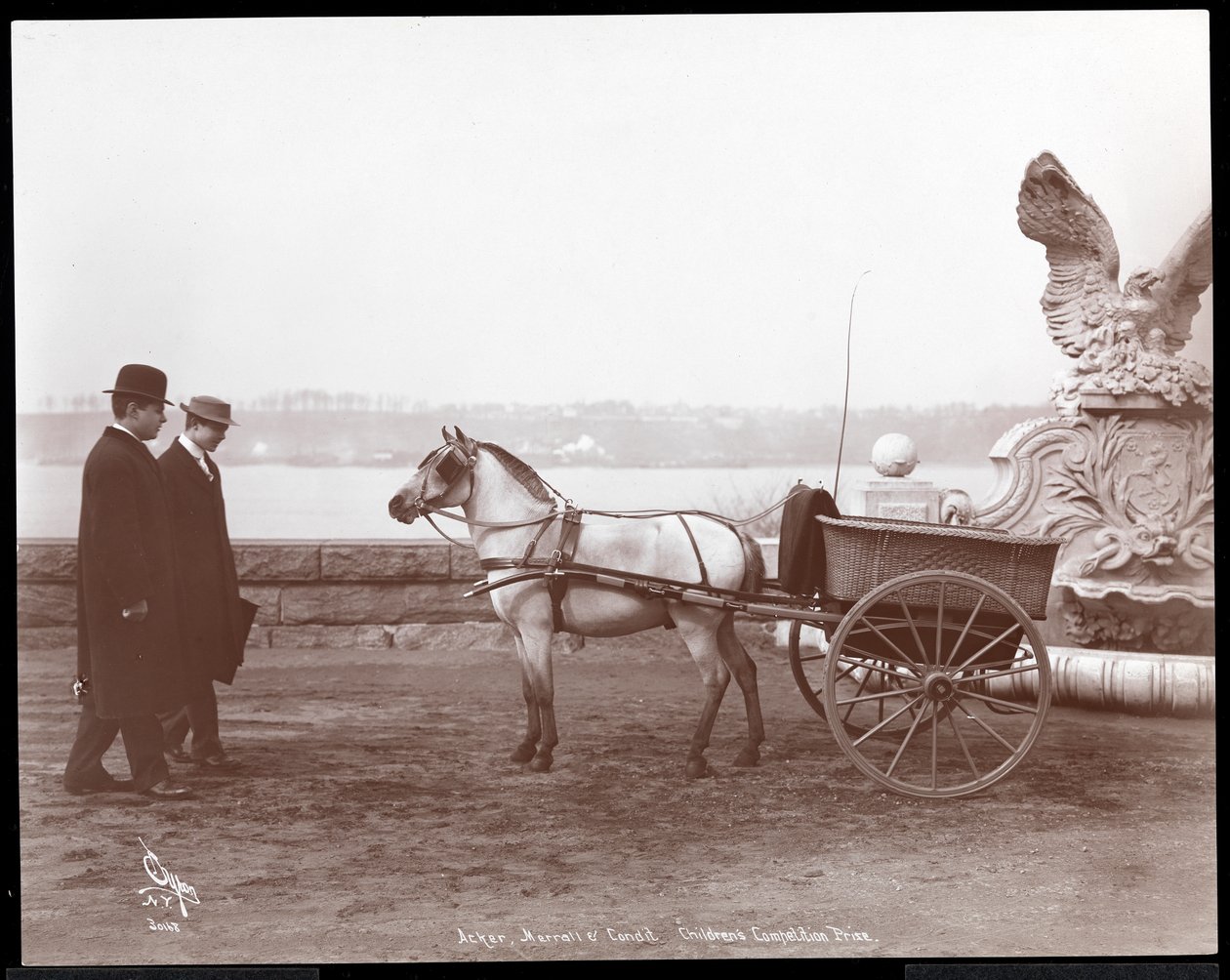 To menn, ponni og vogn, New York, 1910 eller 1911 (sølv gelatintrykk) av Byron Company