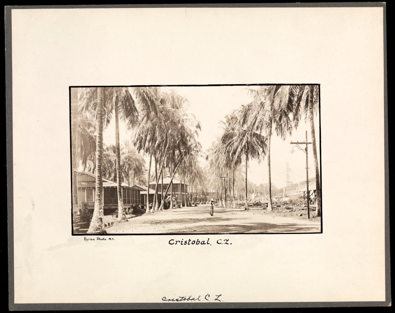 Utsikt over en palmekantet grusvei gjennom Cristobal, Panama, under byggingen av kanalen, 1912 eller 1913 (sølvgelatintrykk) av Byron Company