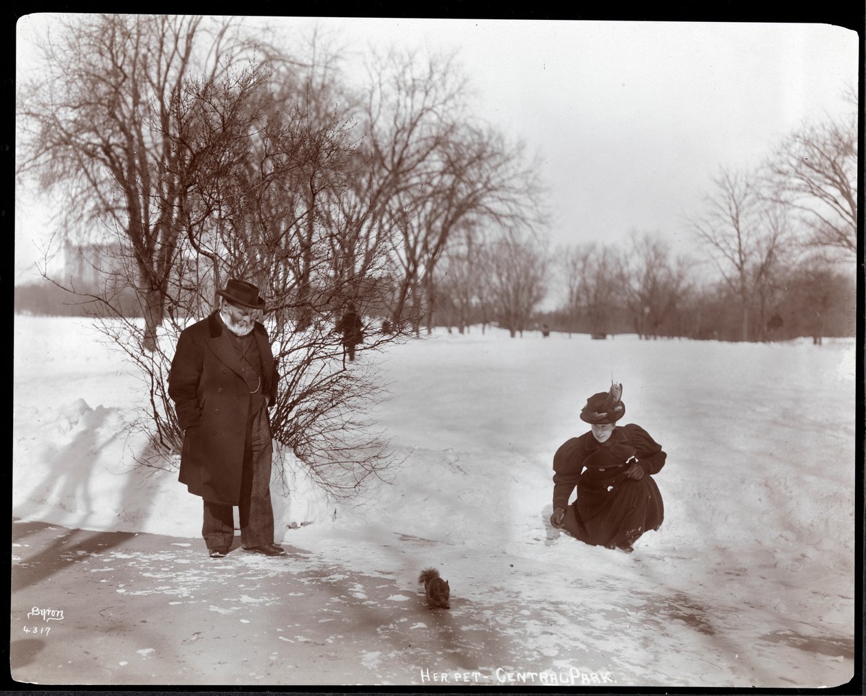Utsikt over en kvinne som mater et ekorn mens en mann ser på i snøen i Central Park, New York, 1898 (sølv gelatintrykk) av Byron Company
