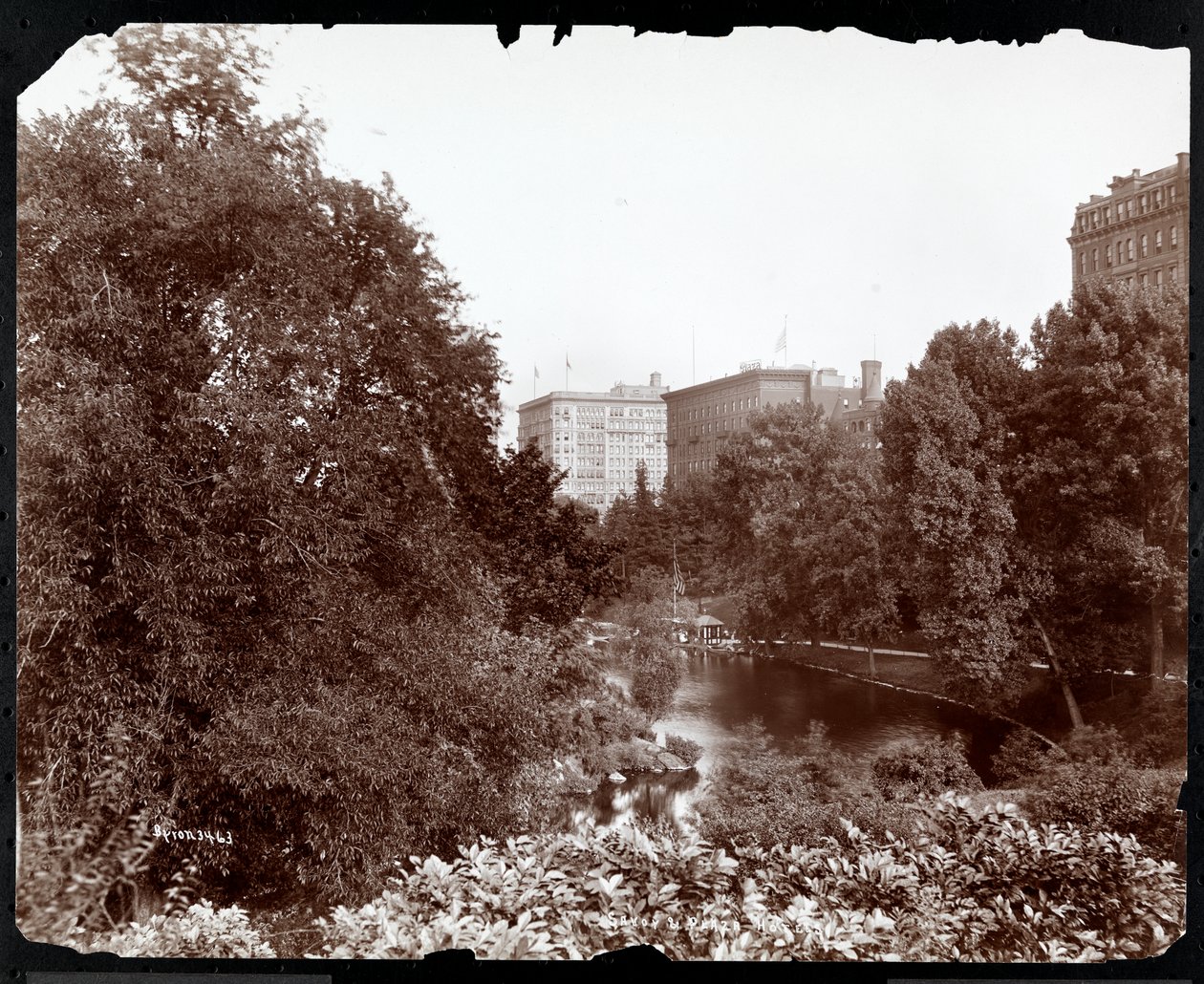 Central Park med utsikt over Savoy and Plaza Hotels, 5th Avenue og 59th Street, New York, ca. 1896-98 (sølv gelatintrykk) av Byron Company