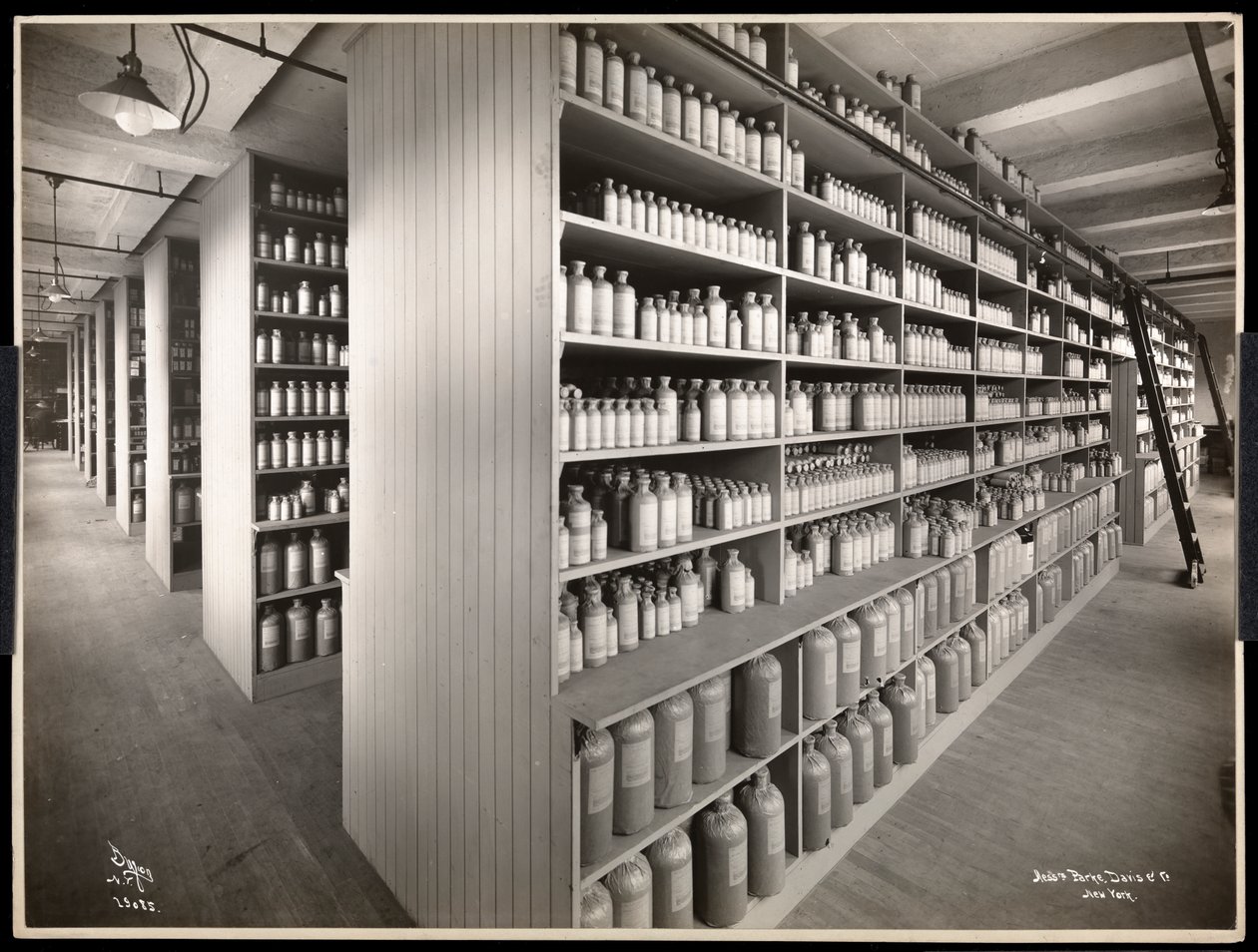 Innvendig visning av et kjemikalielager i Parke, Davis und Co., kjemikere, Hudson und Vestry Streets, New York, 1910 (sølvgelatintrykk) av Byron Company