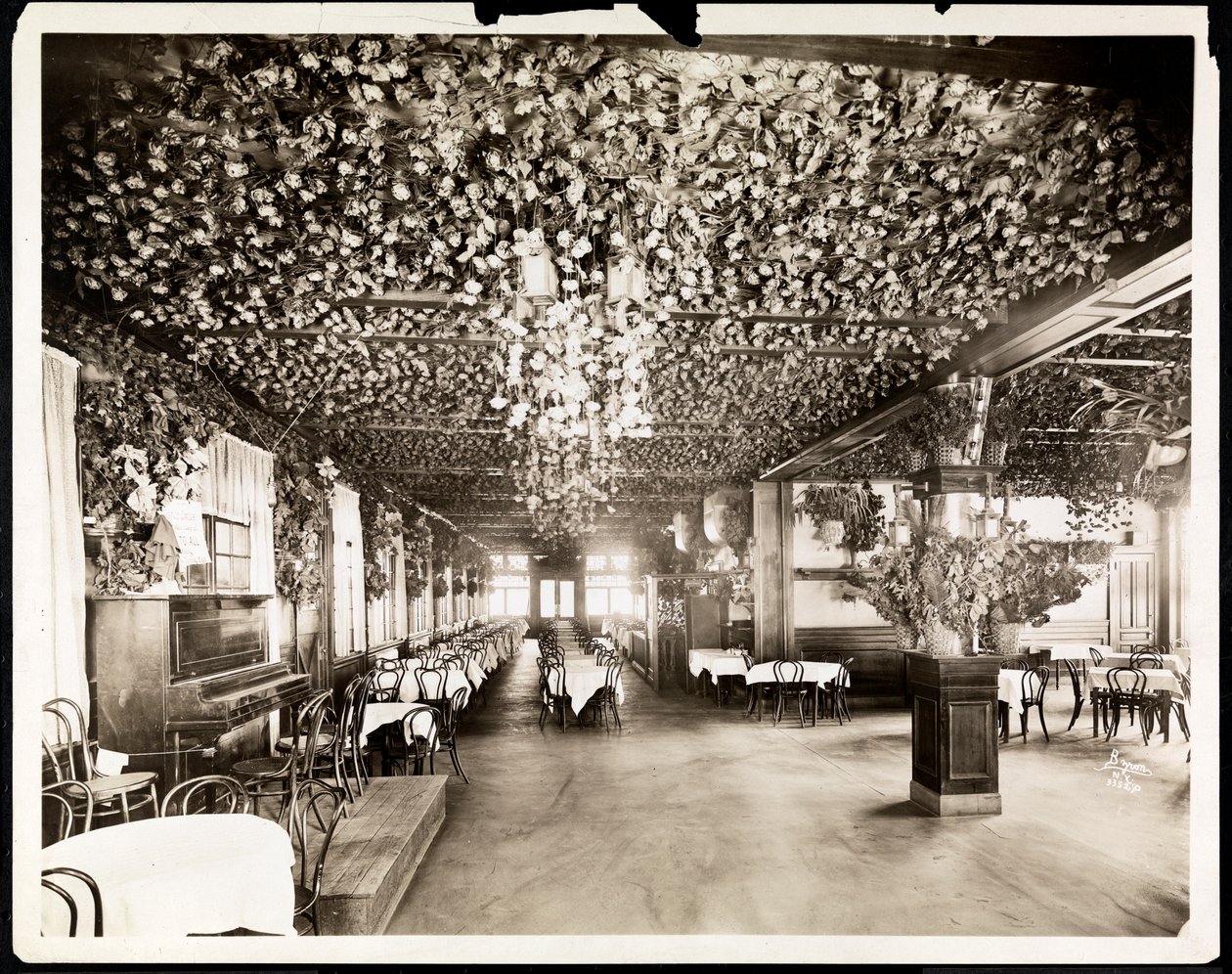 Spisestuen på Hotel Dolphin, New York, 1915 (sølv gelatintrykk) av Byron Company