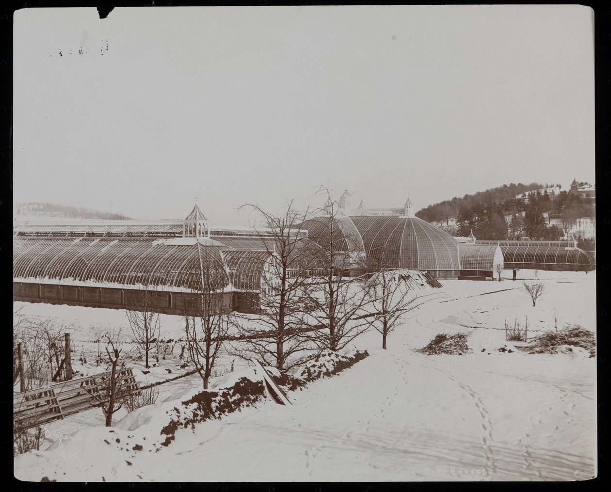 Drivhusene i snøen på Helen Gould-eiendommen (sen Jay Gould-residens) i Tarrytown, New York, 1894 (sølvgelatintrykk) av Byron Company