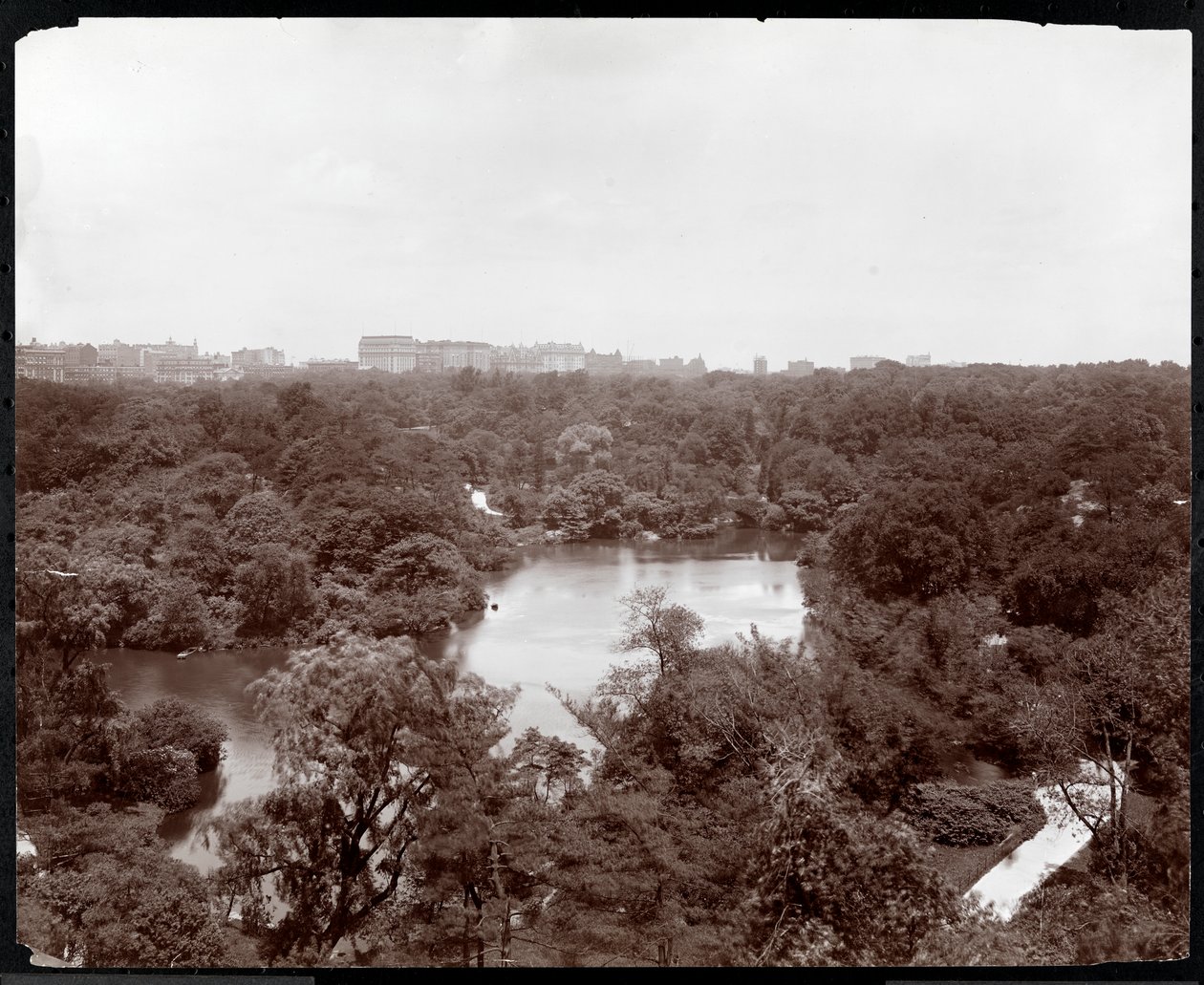 Utsikt over Central Park fra Plaza Hotel, 5th Avenue og 59th Street, New York, 1907 (sølv gelatintrykk) av Byron Company