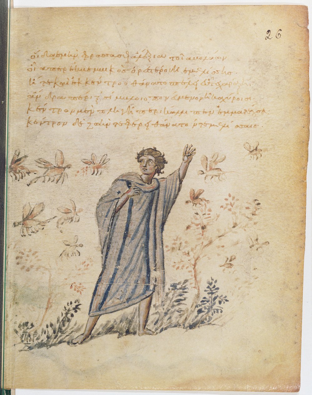 Ms Supp Grec 247 fol.3 Mann som rømmer fra bier, illustrasjon fra Theriaca av Nicander av Kolofon (fl. 2. århundre f.Kr.) av Byzantine