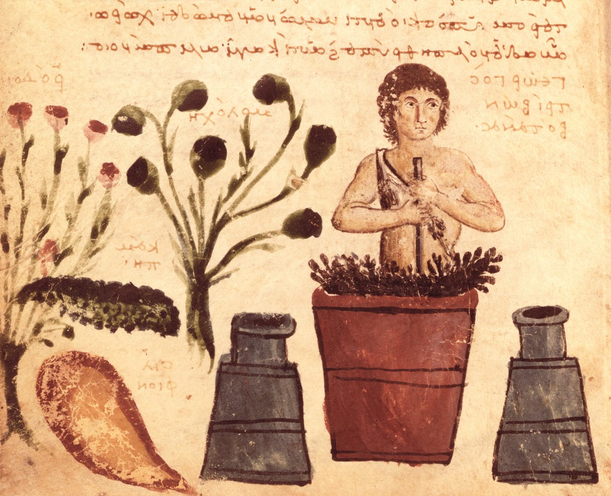 Ms Supp Grec 247 fol.5 En bonde som tilbereder en salve for å beskytte mot slanger, fra Theriaca av Nicander av Colophon (fl. 2. århundre f.Kr.) av Byzantine