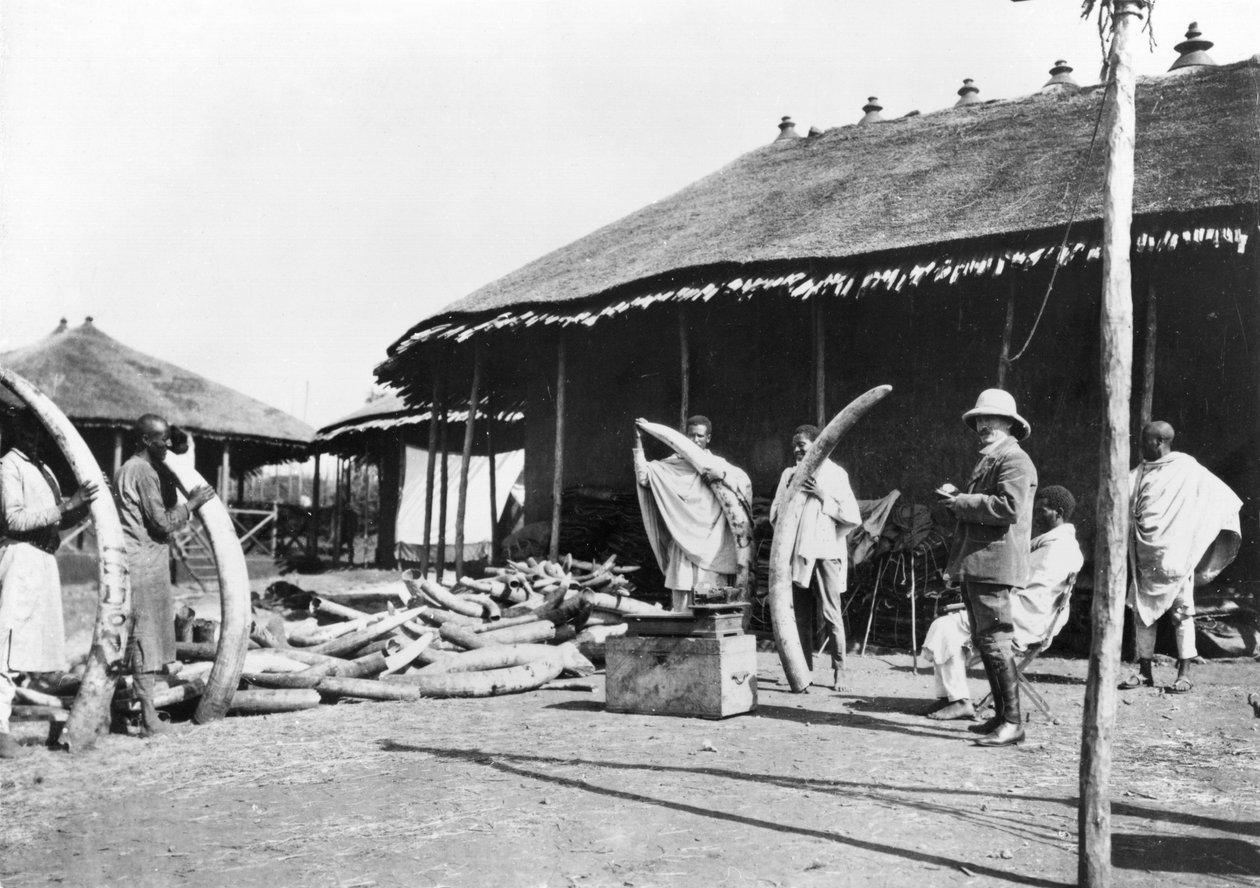 Elfenbenslagre i Addis Abeba, Etiopia, ca. 1900 ( bw-bilde) av C. Chusseau Flaviens