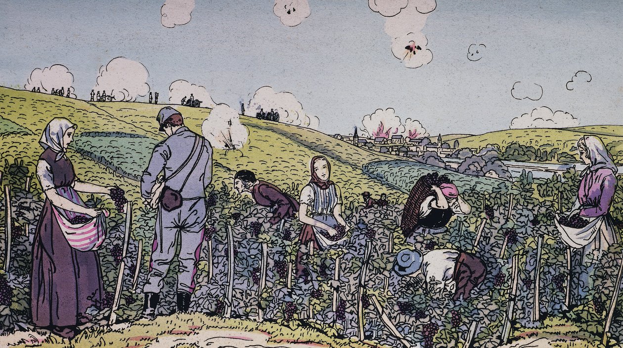 Våre vinbønder høstet under ild, innhøstingen i Champagne-regionen i 1914, første verdenskrig, Frankrike, 1900-tallet av J.B. and Brown J. Rowbotham